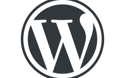 In 10 Schritten die eigene WordPress Website erstellen